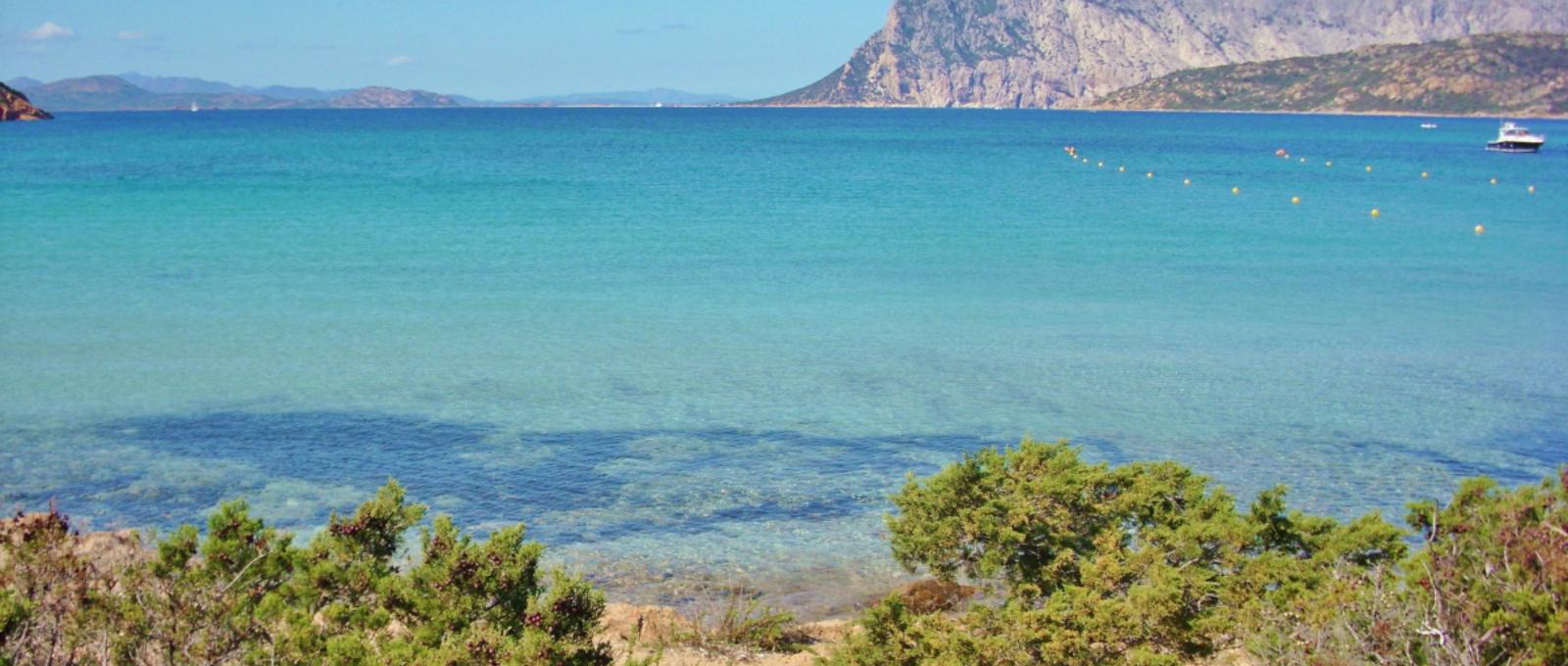 Grande Baia Residence****s #10