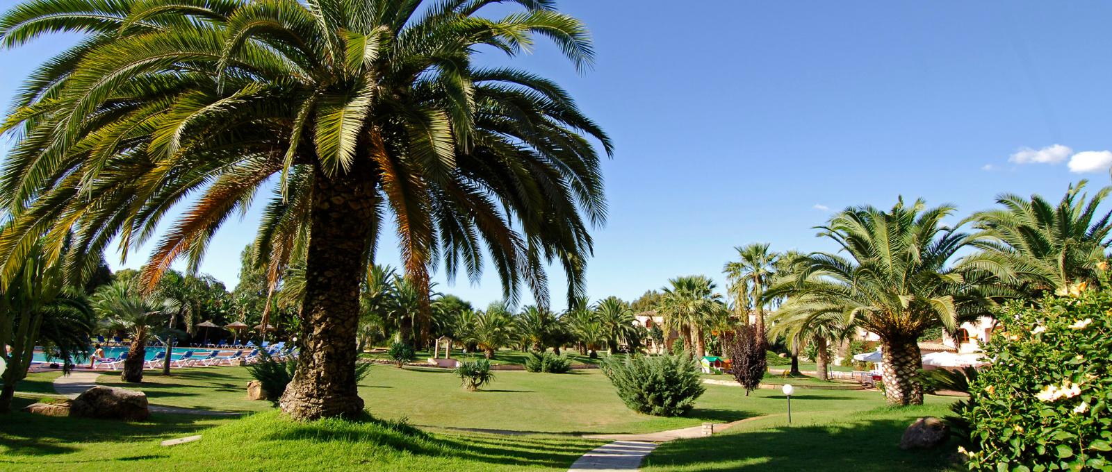 Residence Baia delle Palme #6