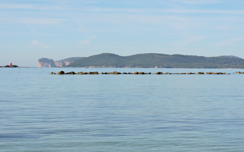 Rina Sea Apartments #12