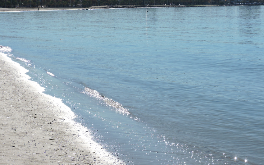 Rina Sea Apartments #15